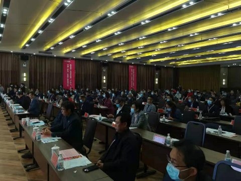 桥沙富硒地瓜苗