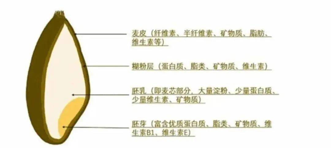 硒粮富硒面粉6
