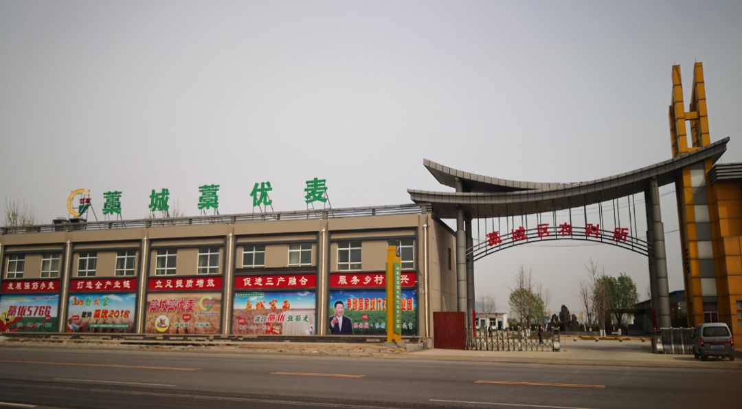 寿之本富硒面粉