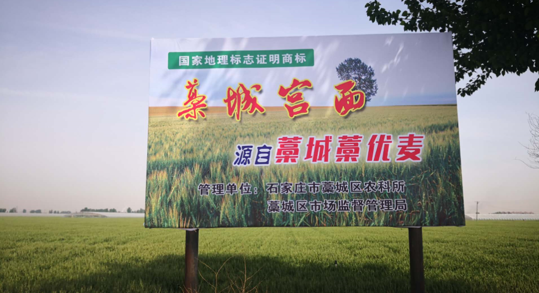寿之本富硒面粉