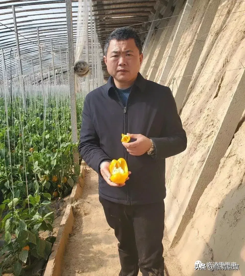 富硒蔬菜包装袋