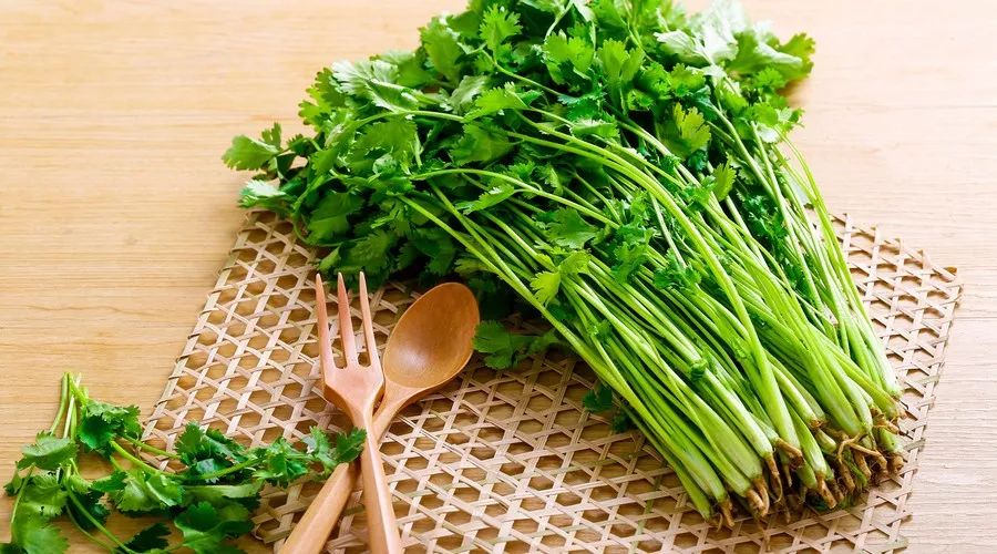 如何种富硒蔬菜
