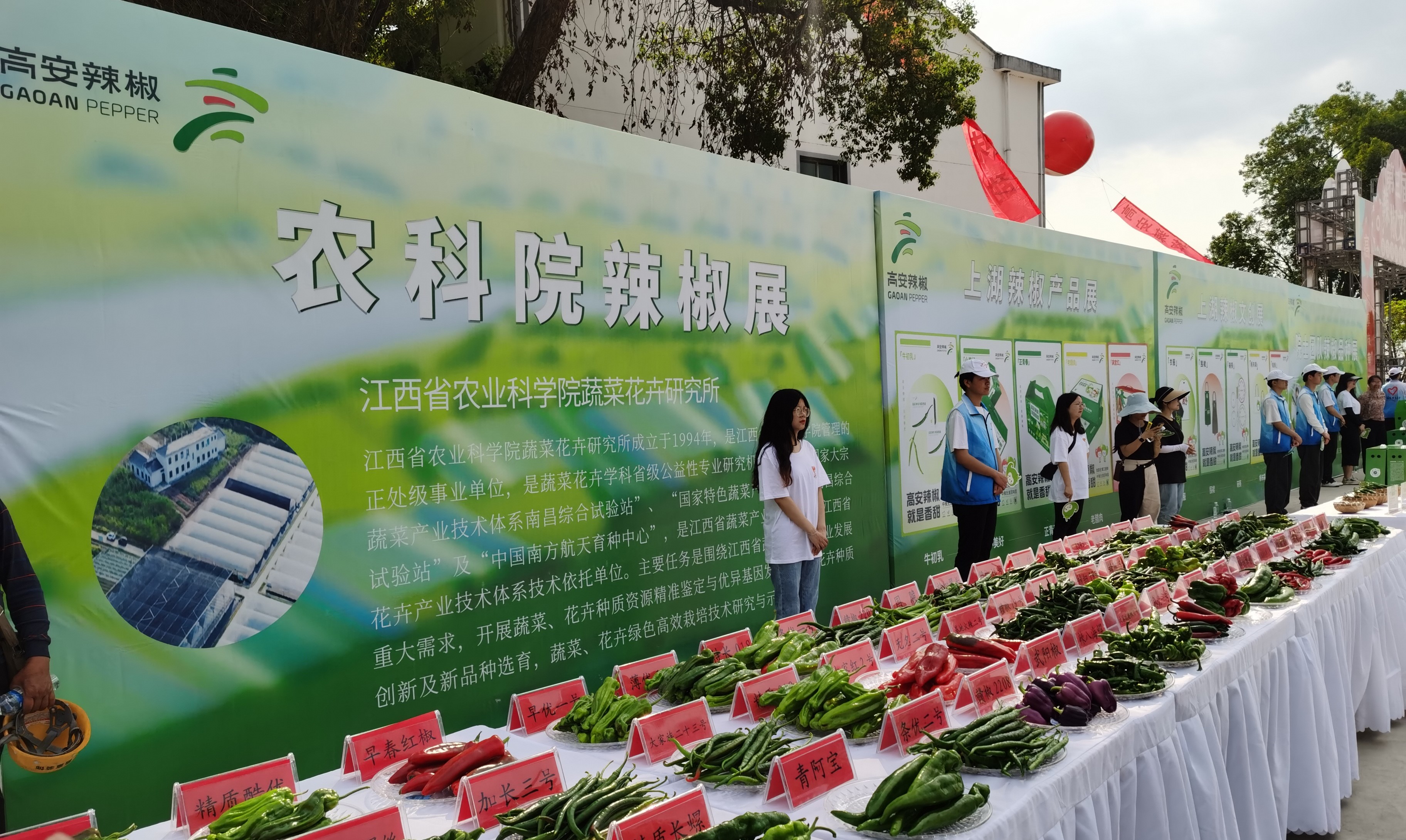 无公害富硒蔬菜