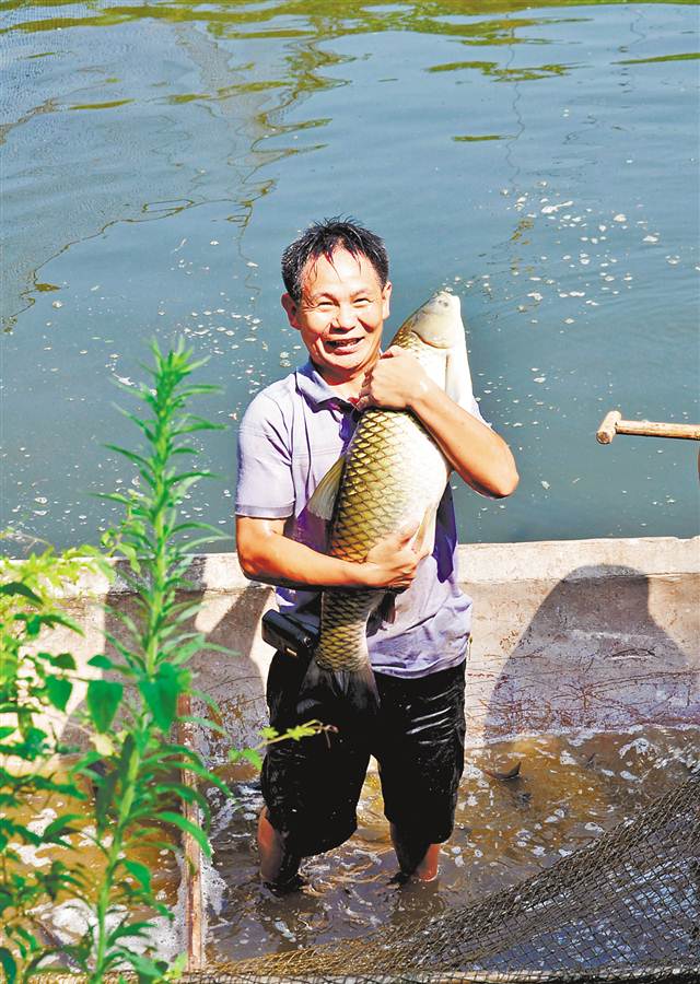 南江乡富硒蔬菜
