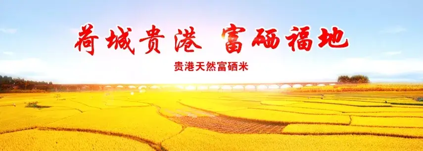 贵港富硒的蔬菜