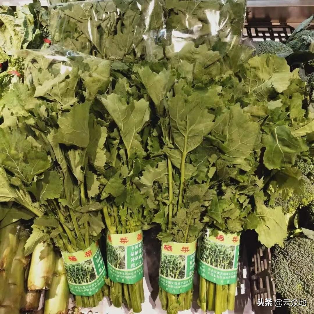 哪里有富硒蔬菜