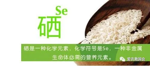 富硒蔬菜蛋白质