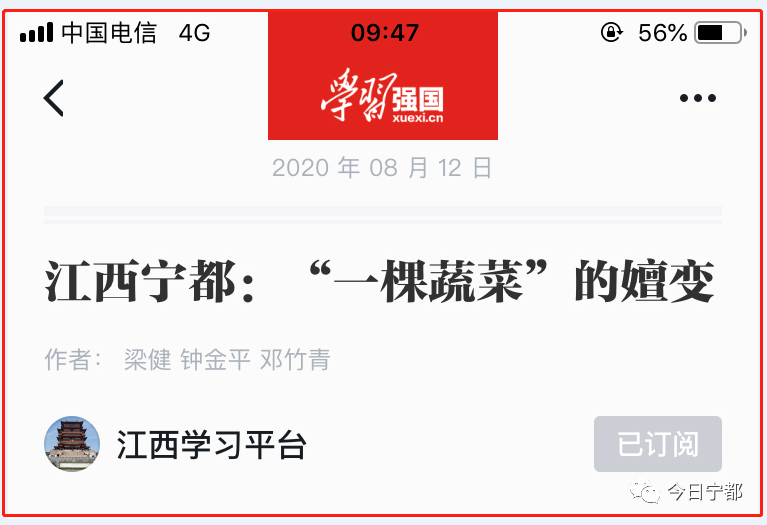 宁都县富硒蔬菜