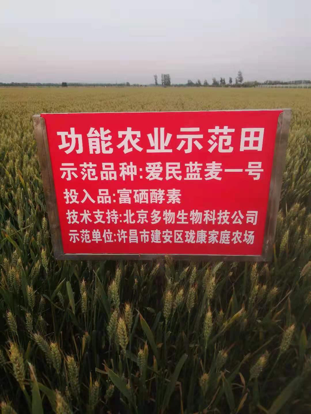 富硒蔬菜专用肥