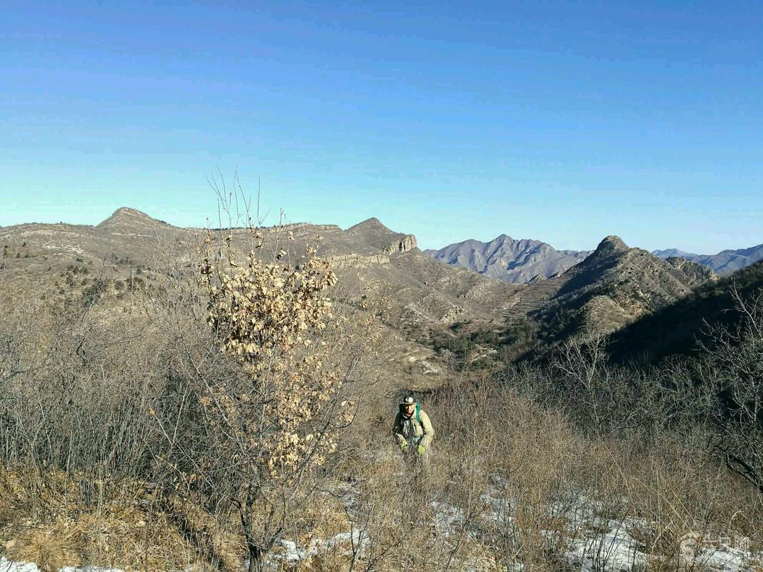 富硒水果苗价格
