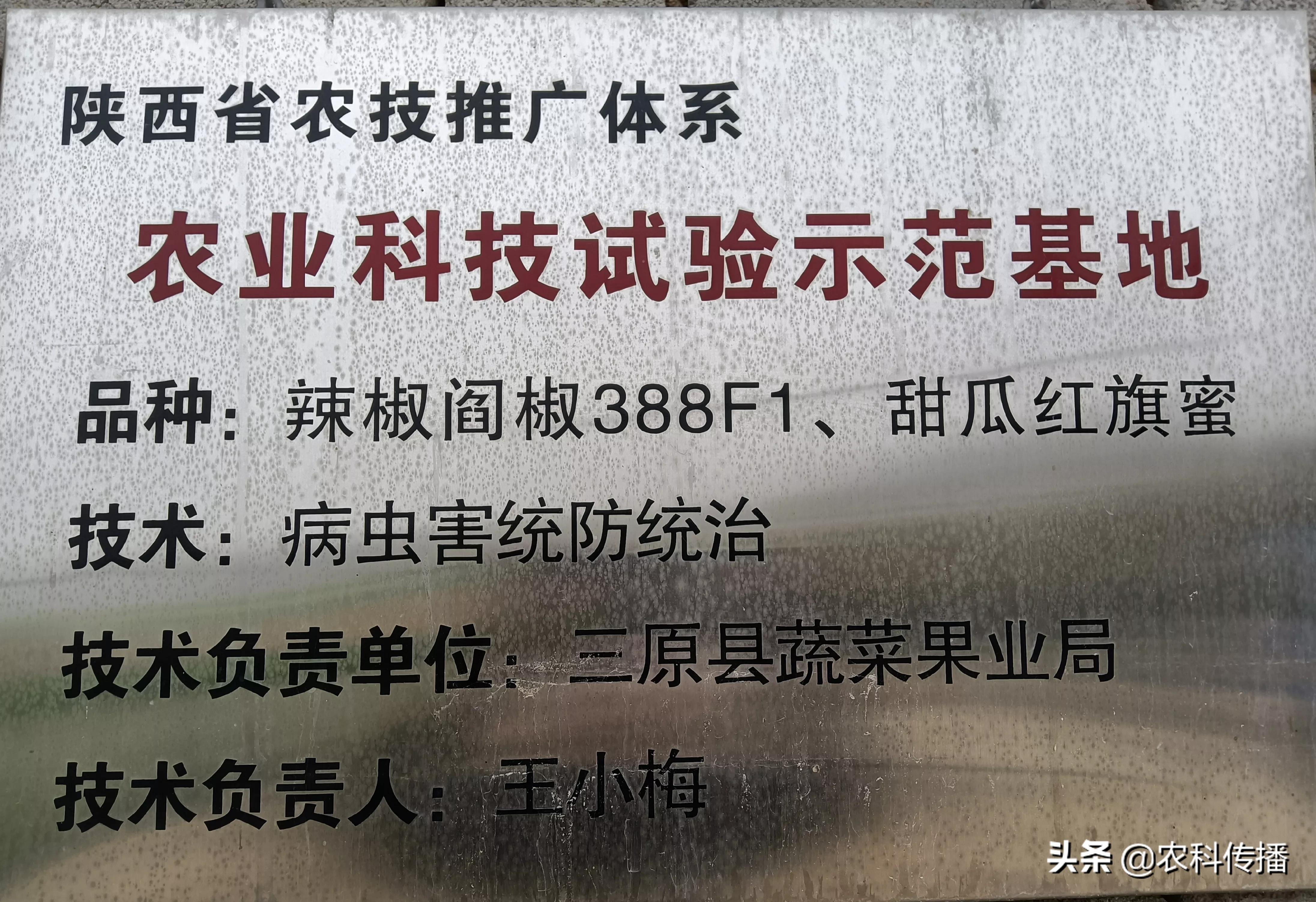 富硒水果的意思