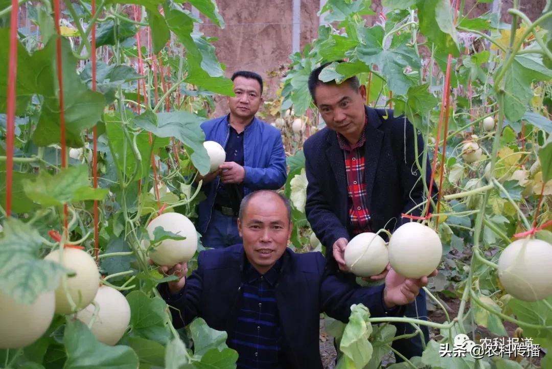 富硒水果的意思