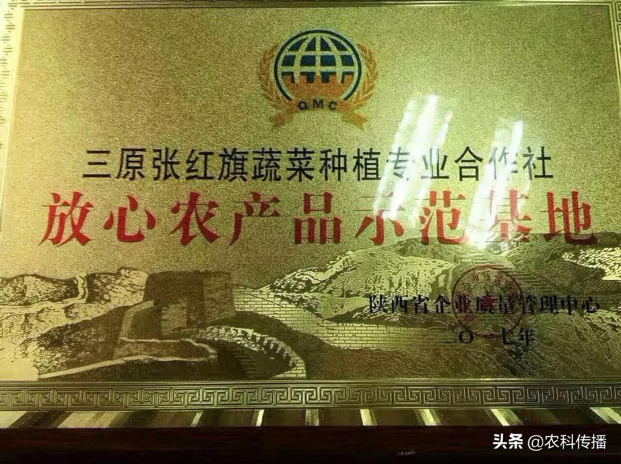 富硒水果的意思