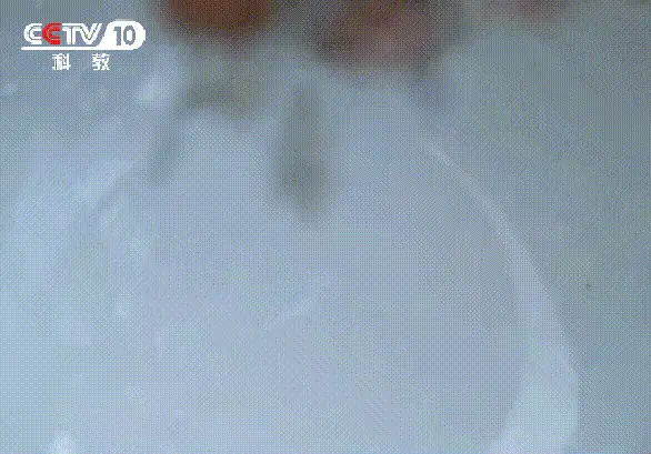 藤匠人富硒莓茶