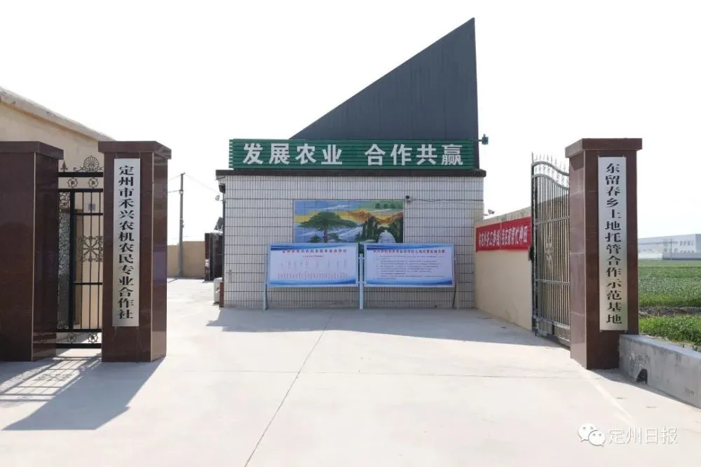 硒与农产品品质