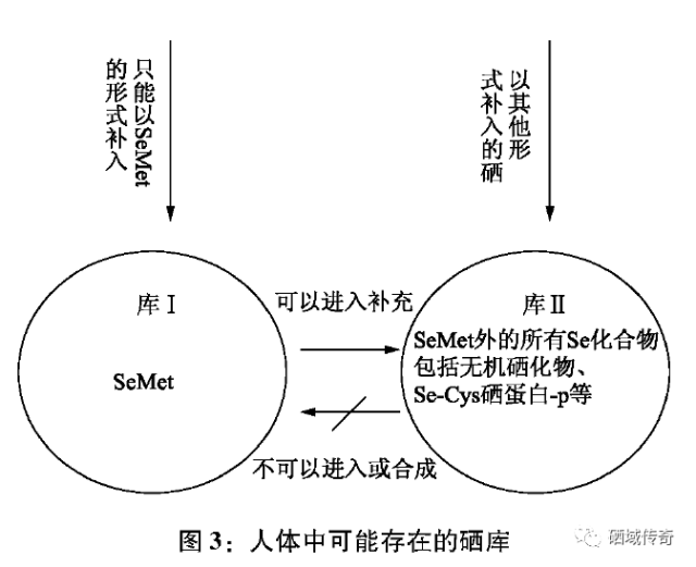 效果好的硒产品