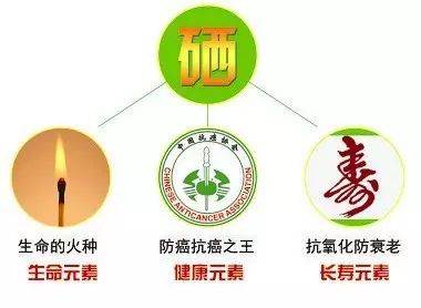 硒谷有什么产品