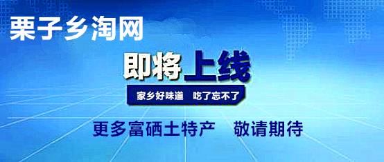 硒谷有什么产品