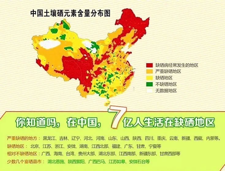 硒谷有什么产品