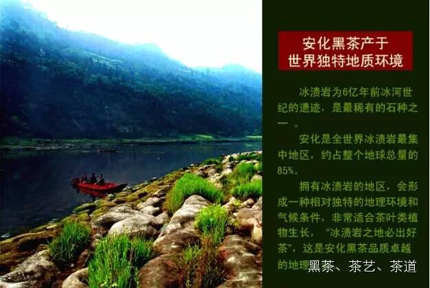 哪种含硒产品好