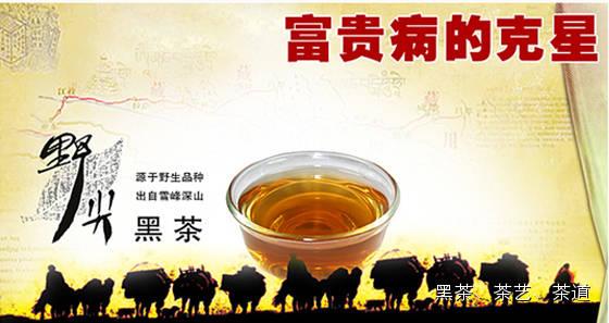 哪种含硒产品好