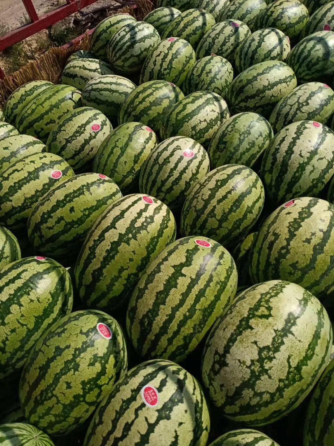 山东硒为贵产品