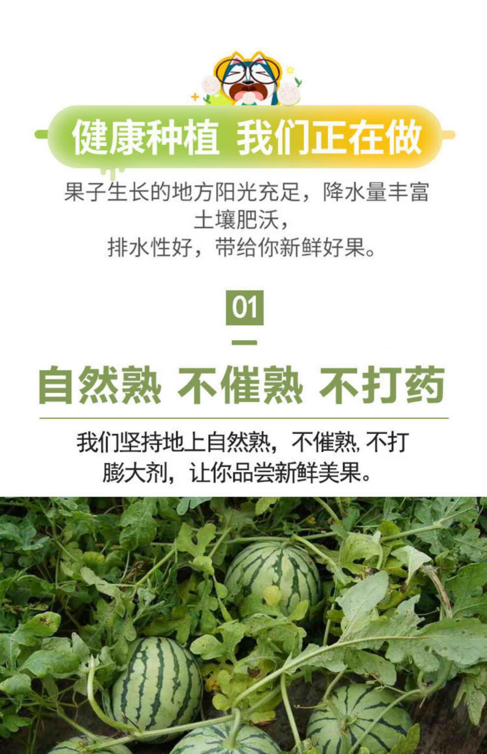 山东硒为贵产品