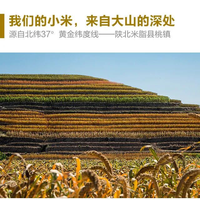 科大硒粮农产品