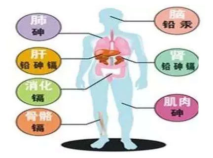 蛋白锌硒宝成人