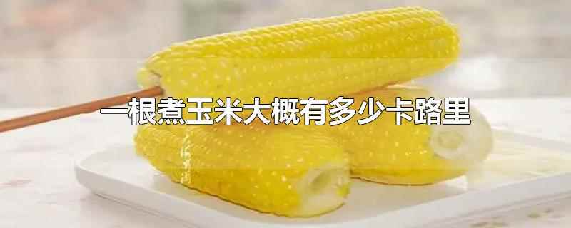 玉米有补硒元素吗