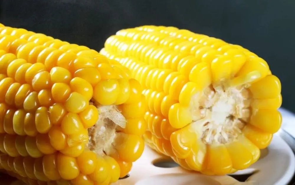 玉米有补硒元素吗