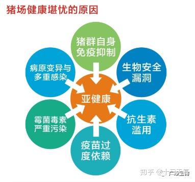 给羊补硒时能驱虫吗