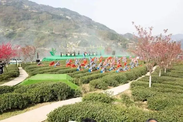 陕西紫阳富硒茶公司简介