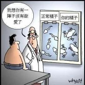 锌硒宝备孕天涯