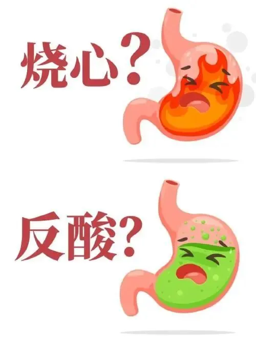 锌硒宝片减肥吗
