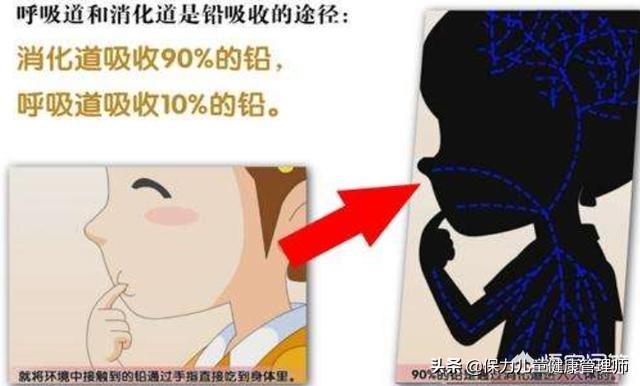 锌硒宝片排铅吗
