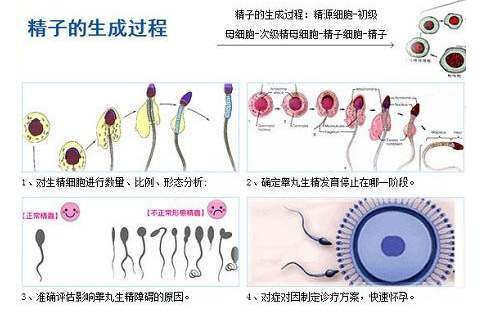 锌硒宝碘蛋白质