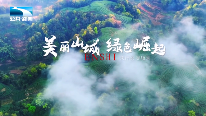 恩施富硒茶有哪些