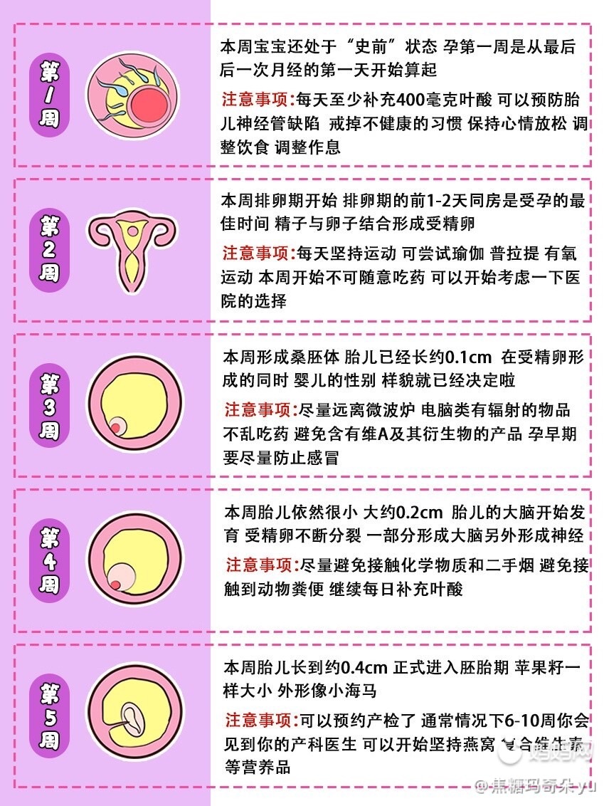 伊分子锌硒宝价格