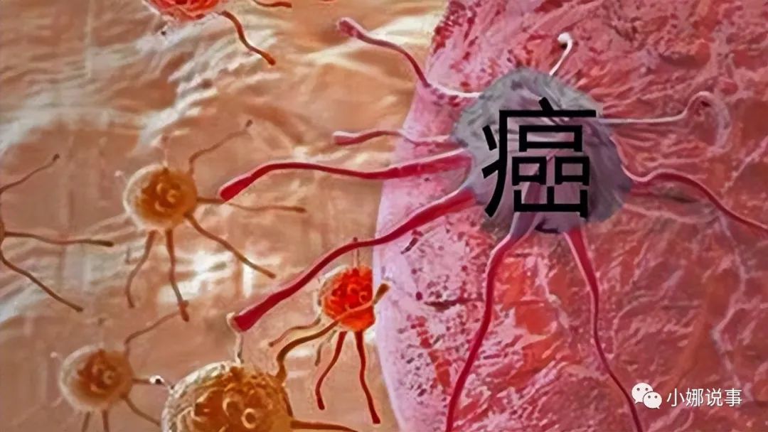 硒酵母是补硒的吗