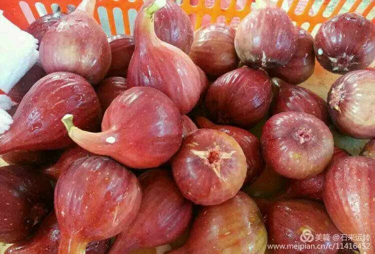 无花果怎么补硒的