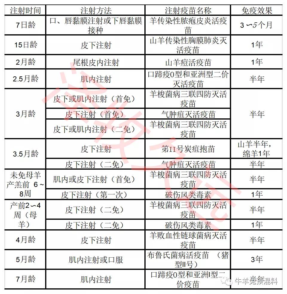 羊羔补硒好处多吗