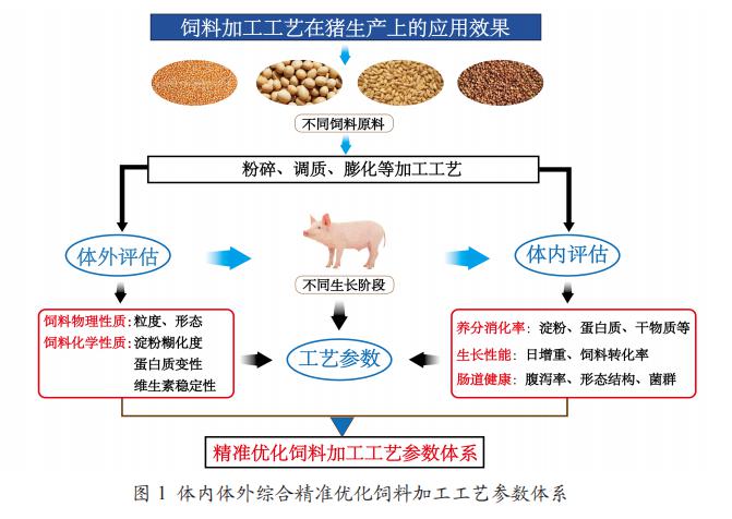 肥猪补硒用什么好