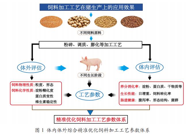 肥猪补硒用什么好