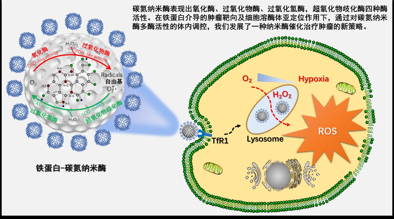 补硒对心脏病好吗