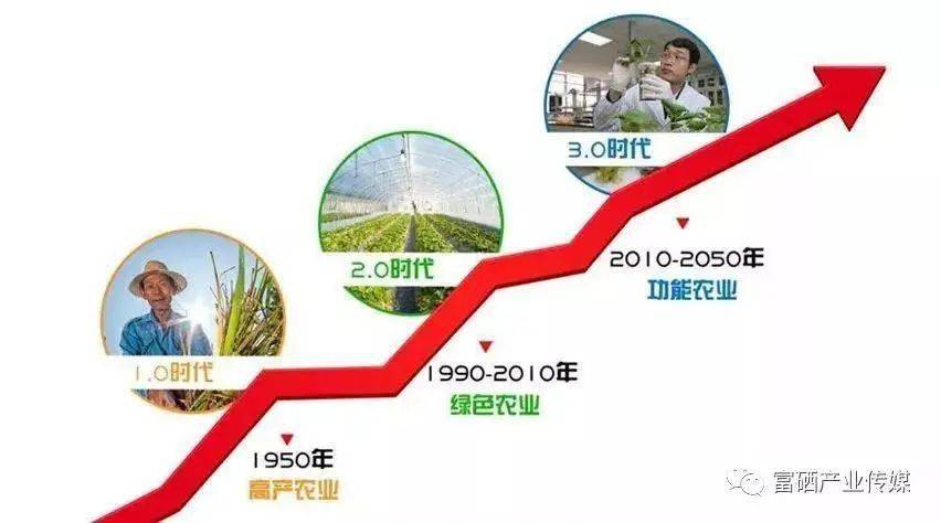 补硒有那三种途径