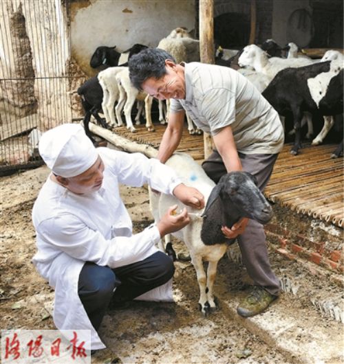 母猪补硒补几毫升