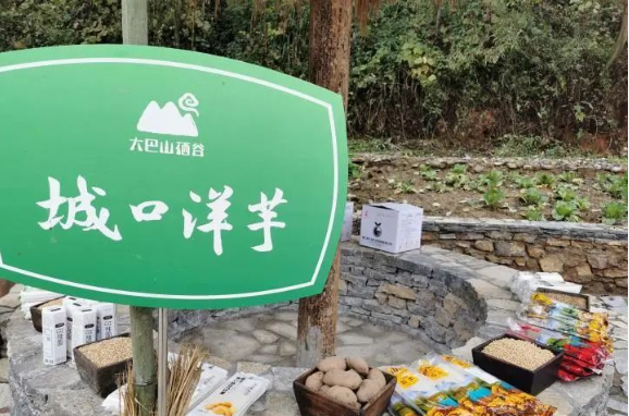 补硒吃硒优素好吗