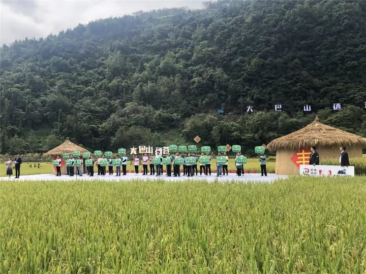 补硒吃硒优素好吗