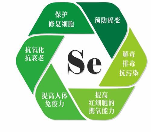 母牛补硒元素多少